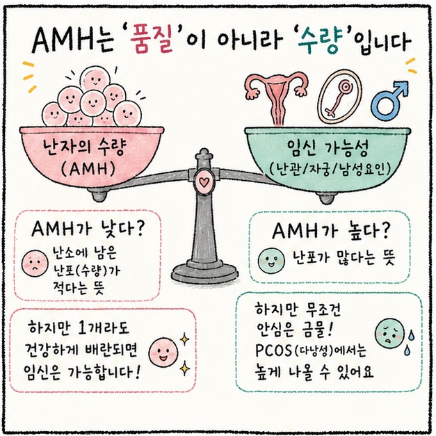 AMH란