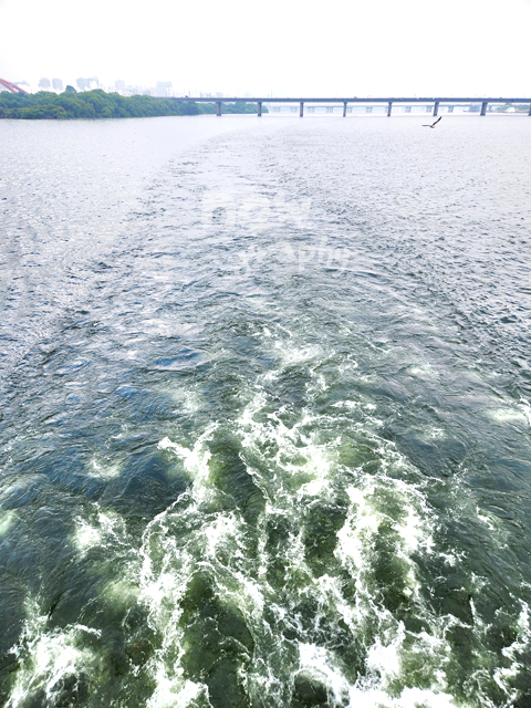 여의도-이랜드크루즈-유람선