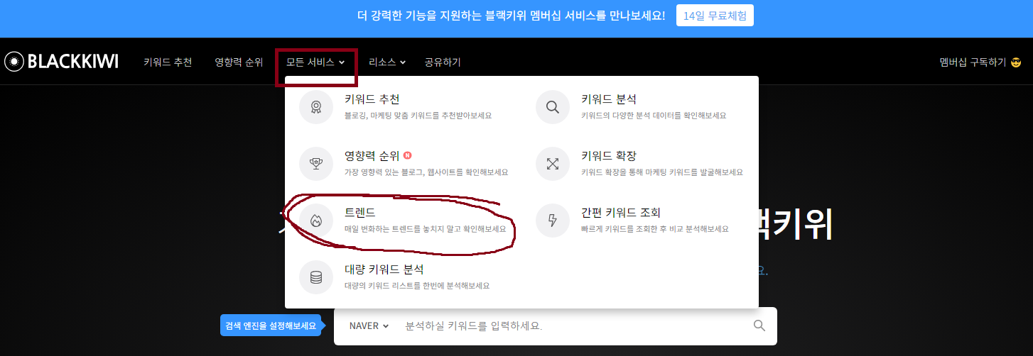 블랙키위 사용방법 - 트렌드로 찾기