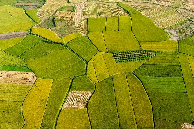 청년 농어민수당 신청방법 2026년 최신 총정리