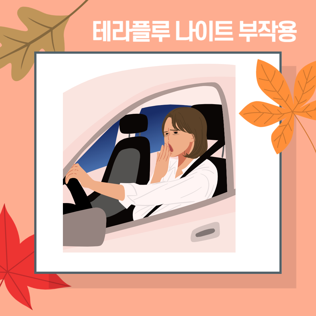 테라플루 나이트