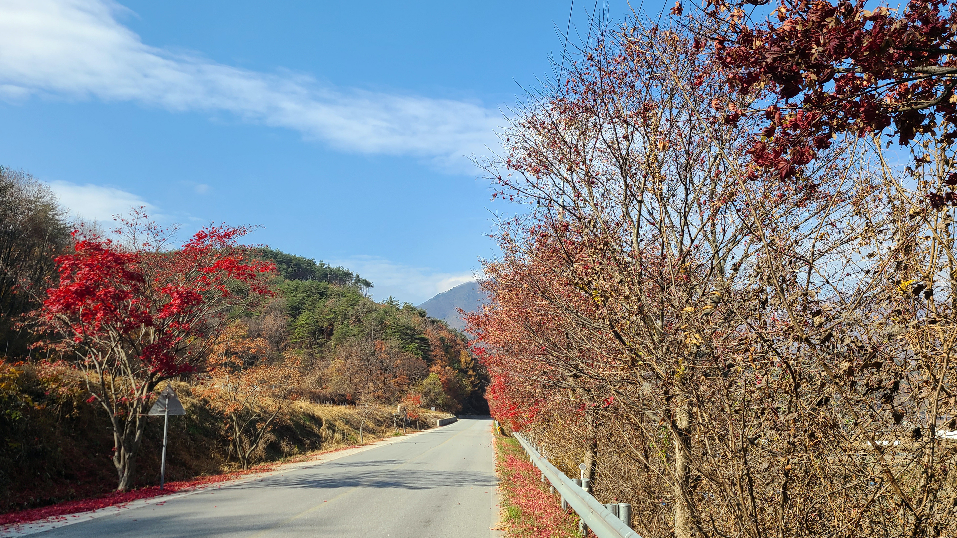 이름 모를 가을길