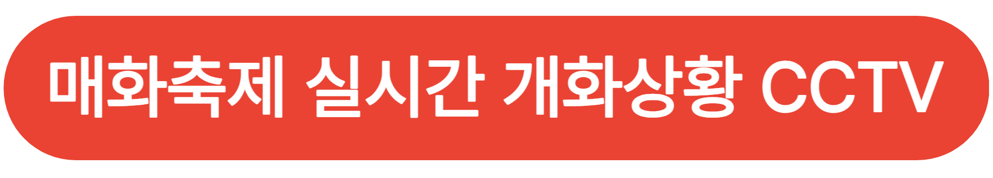 광양매화축제