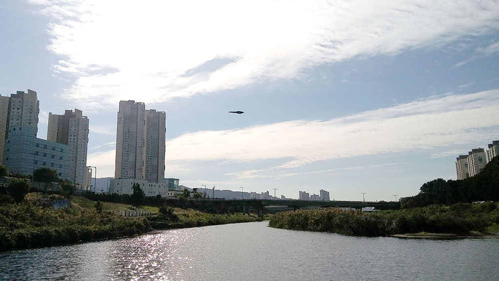 서울둘레길 안양천 '가을 하늘'