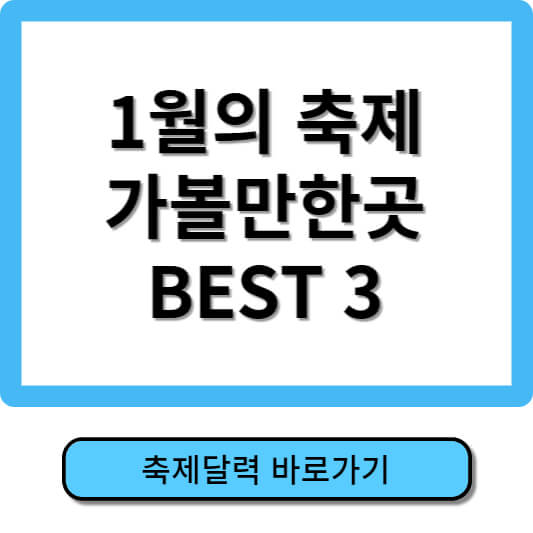1월 축제 가볼만한곳