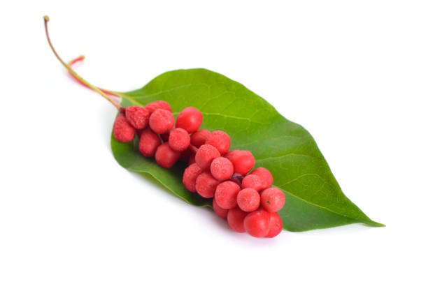 오미자차의 효능 5가지