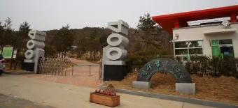 압해도 분재공원 근처 선착장에서의 낚시 농어와 도다리 포인트 소개 완벽 낚시터_5