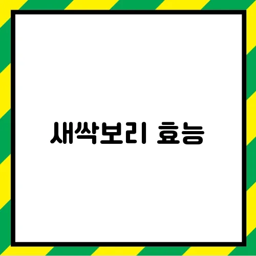 새싹보리 효능