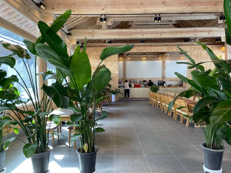 홍천 한옥 베이커리 카페 아나파우오 - 매장 내부