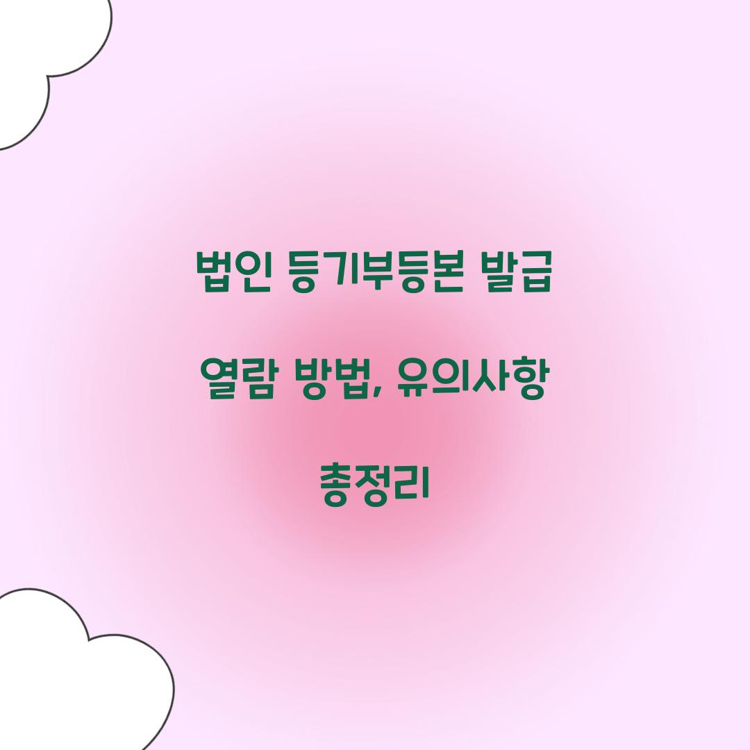 법인 등기부등본 발급 열람