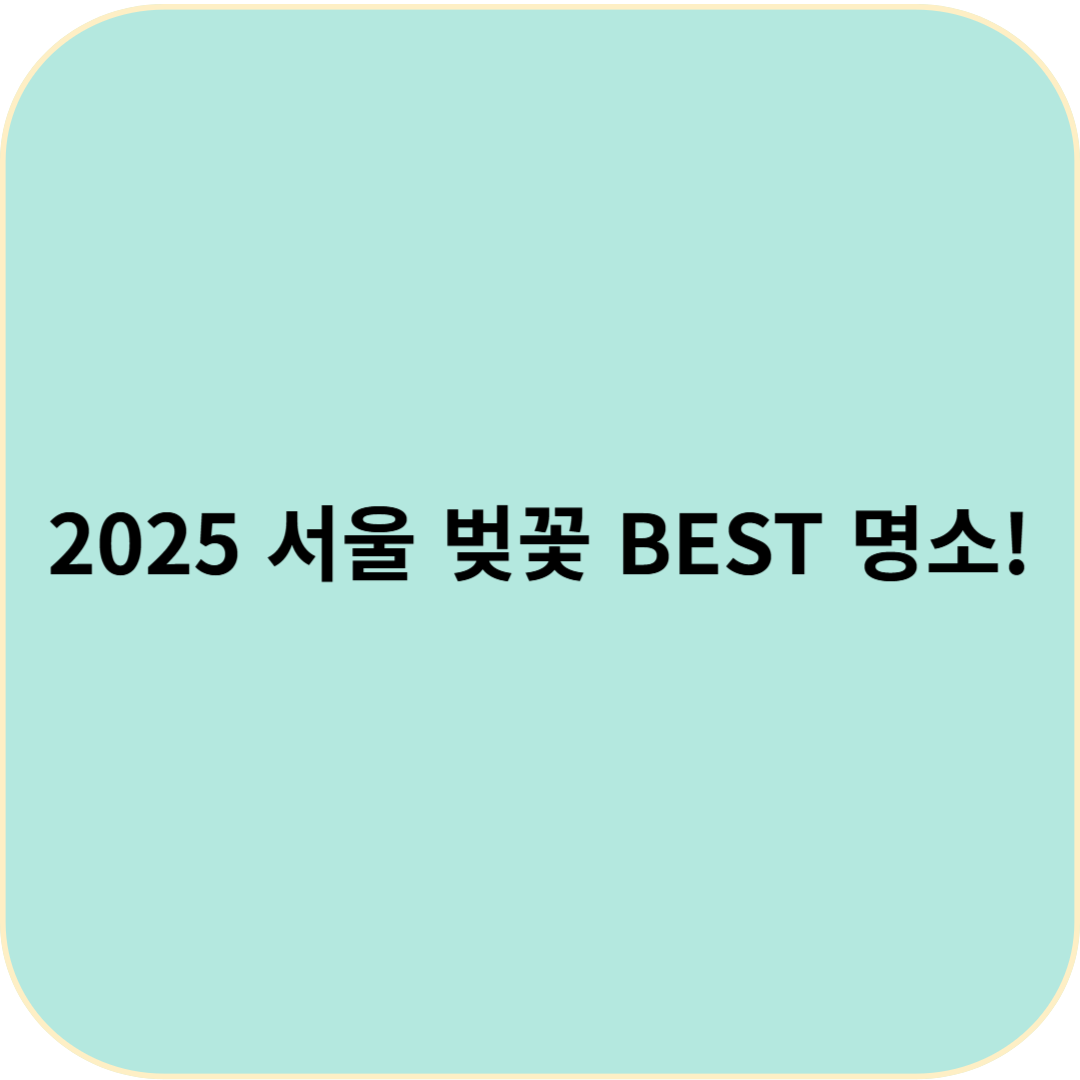 2025 서울 벚꽃 BEST 명소! 사진 찍기 좋은 핫플은?