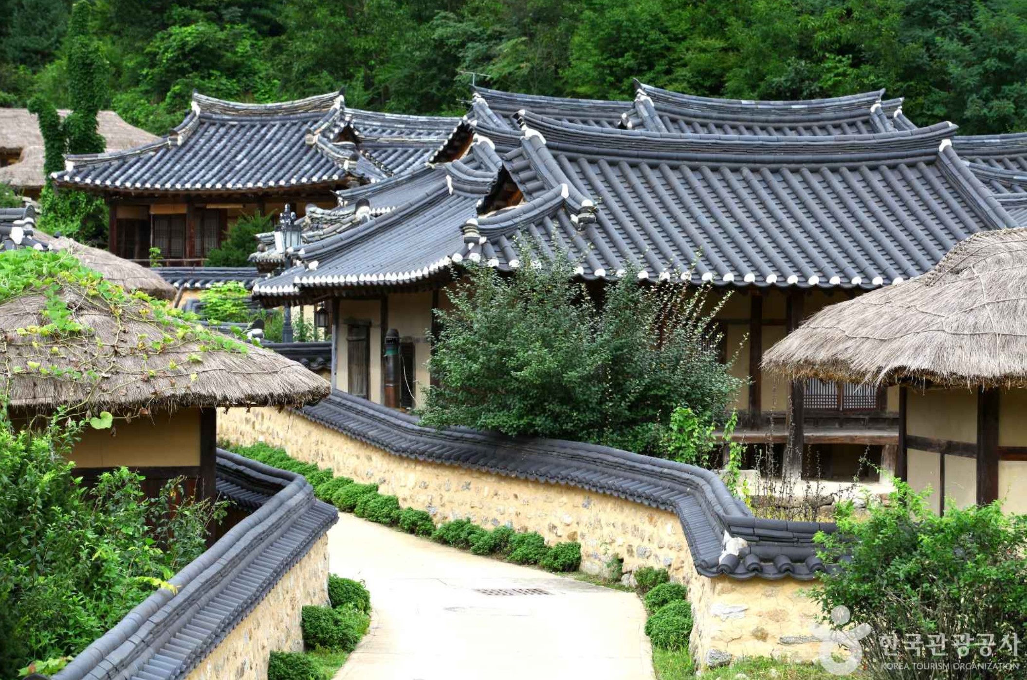 영주-가볼만한곳-무섬마을-전경