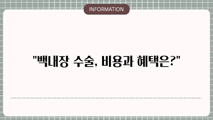 백내장 렌즈삽입술 비용: 