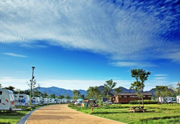 가평 반려동물 문화행사 활짝펫