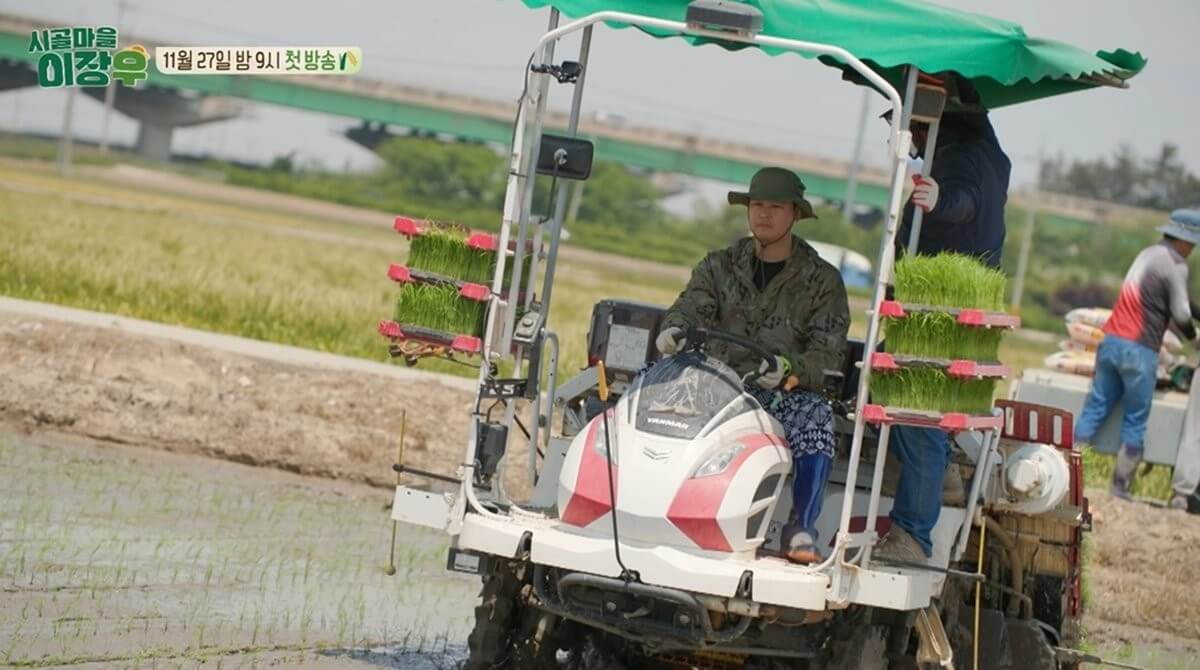 시골마을 이장우