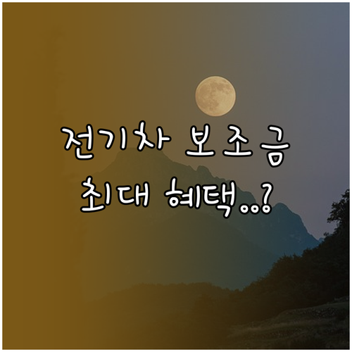 생애 첫 전기차 구매 시 차상위계층 ..