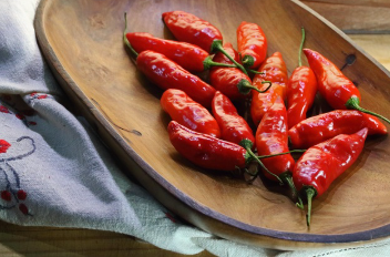 모종 고르는 꿀팁 1