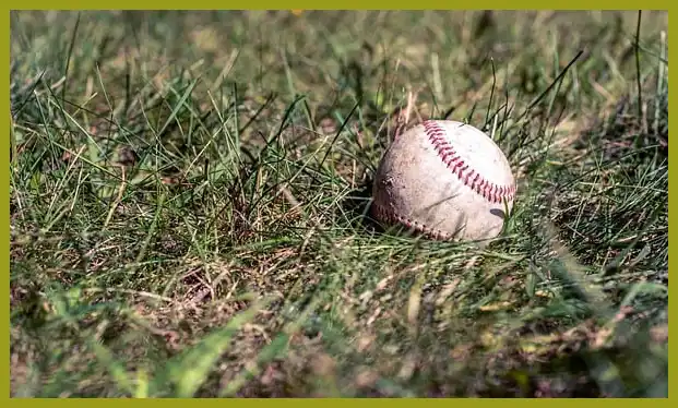 야구 중계방송채널 바로보기 (무료팁)