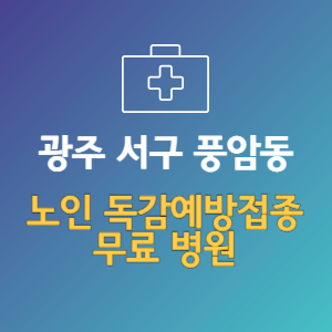 광주 서구 풍암동 노인 독감예방접종 무료 병원