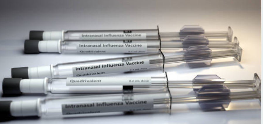 인플루엔자와 관련된 사진