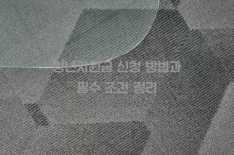 청년지원금