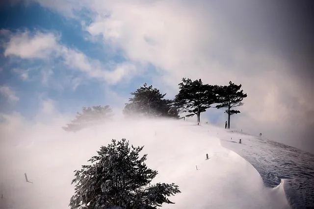 울산 가볼만한곳 베스트 10 여행 명소_9