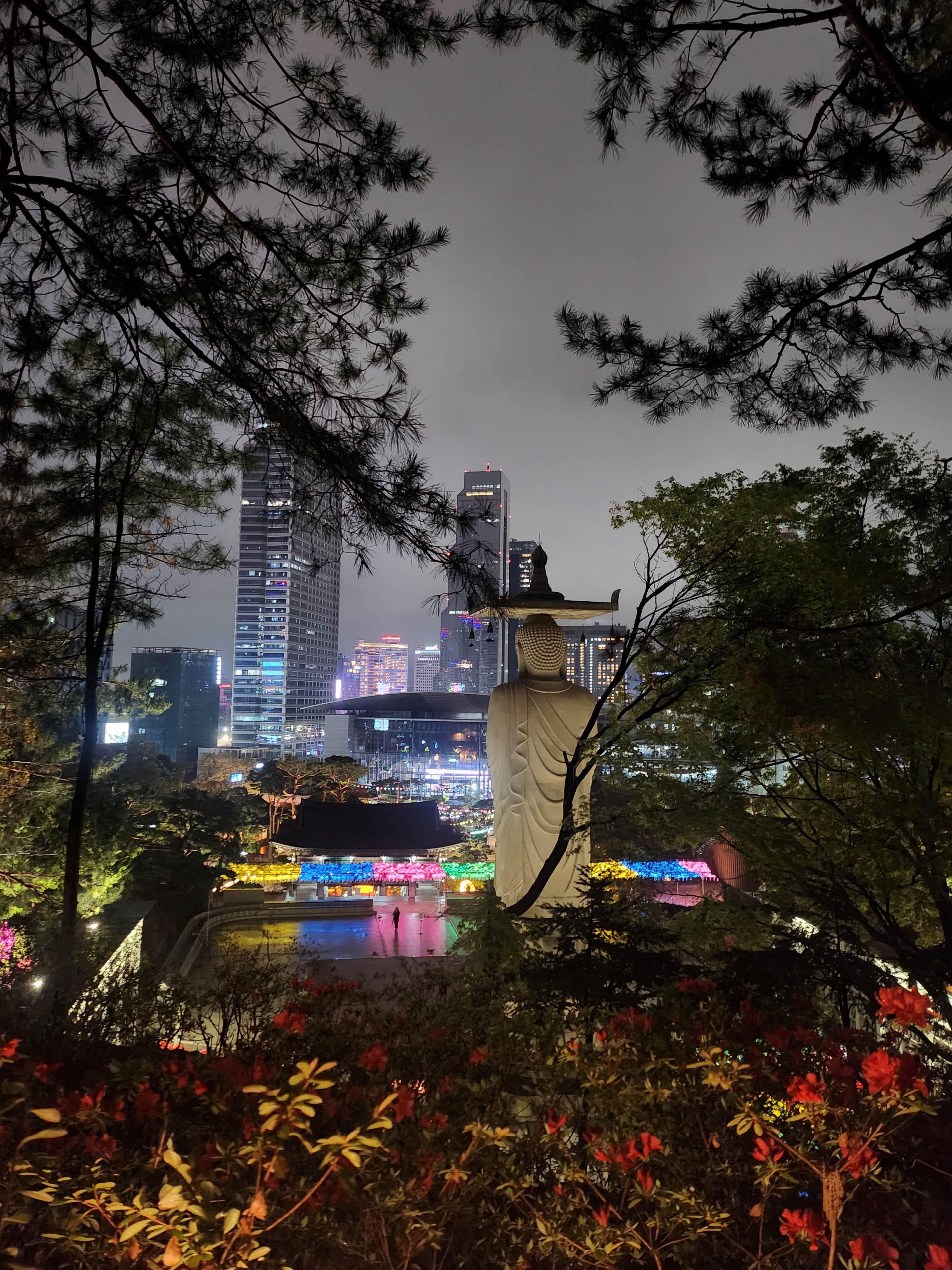 2025. 4. 19. 봉은사 연등제 야경 산책 후기 (겹벚꽃, 라일락, 홍매화 개화상황 포함)