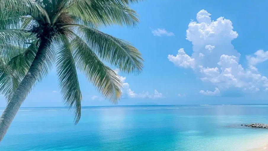 푸꾸옥 여행 준비물, 이것만 알면 완벽 준비! 이 10가지는 꼭 챙기자!