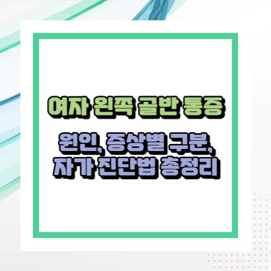 여자 왼쪽 골반 통증 : 원인, 증상별 구분, 자가 진단법 총정리