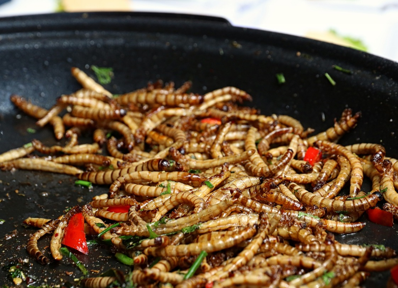 미래의 단백질을 활용한 새로운 요리법과 식문화의 변화