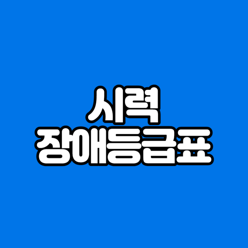 시력 장애등급표