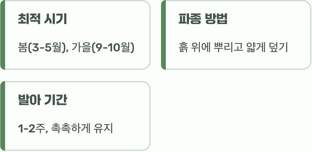 작은 씨앗&amp;#44; 희망을 심는 첫걸음