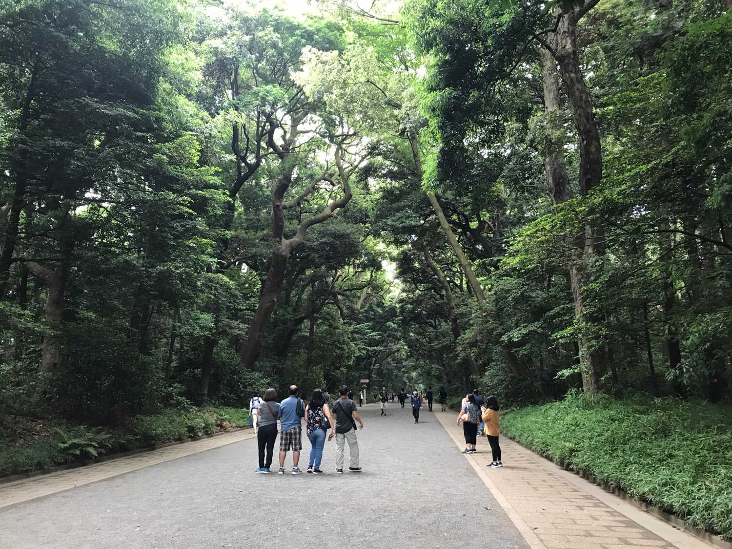 요요기 공원