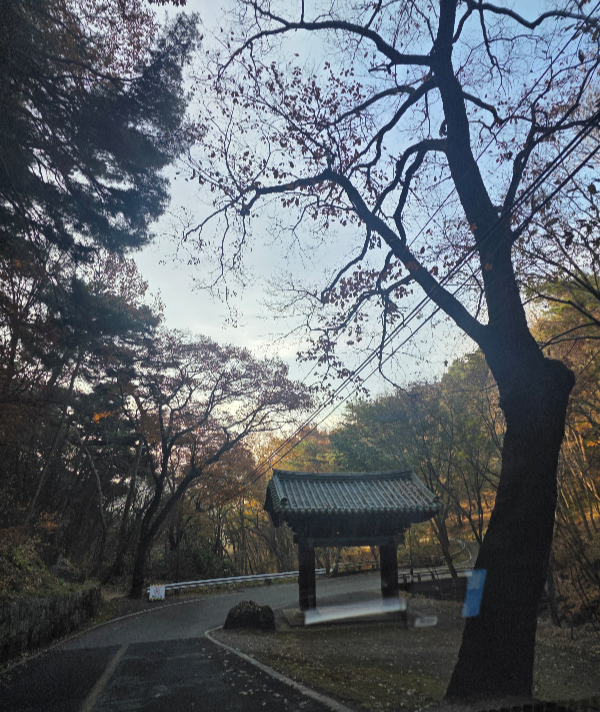 파계사 일주문