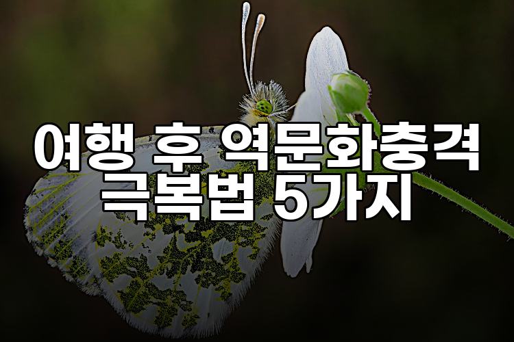 여행 후 역문화충격 극복법 5가지