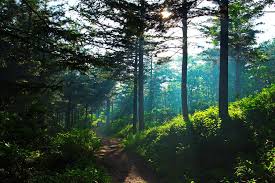  설날 명절 국내 여행 BEST 7 - 강원도