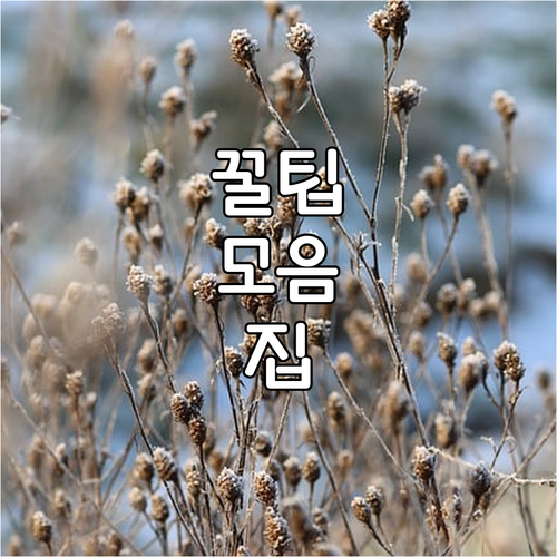 자동차 번호판 교체해야 할까? 상황별