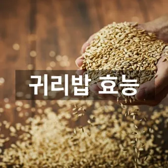 귀리 효능 부작용 밥짓기 먹는법 오트밀 차이_14