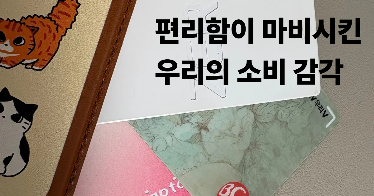 여러 장의 신용카드와 체크카드가 겹쳐져 있고, 그 위를 귀여운 고양이 캐릭터가 그려진 지갑이 덮고 있는 모습