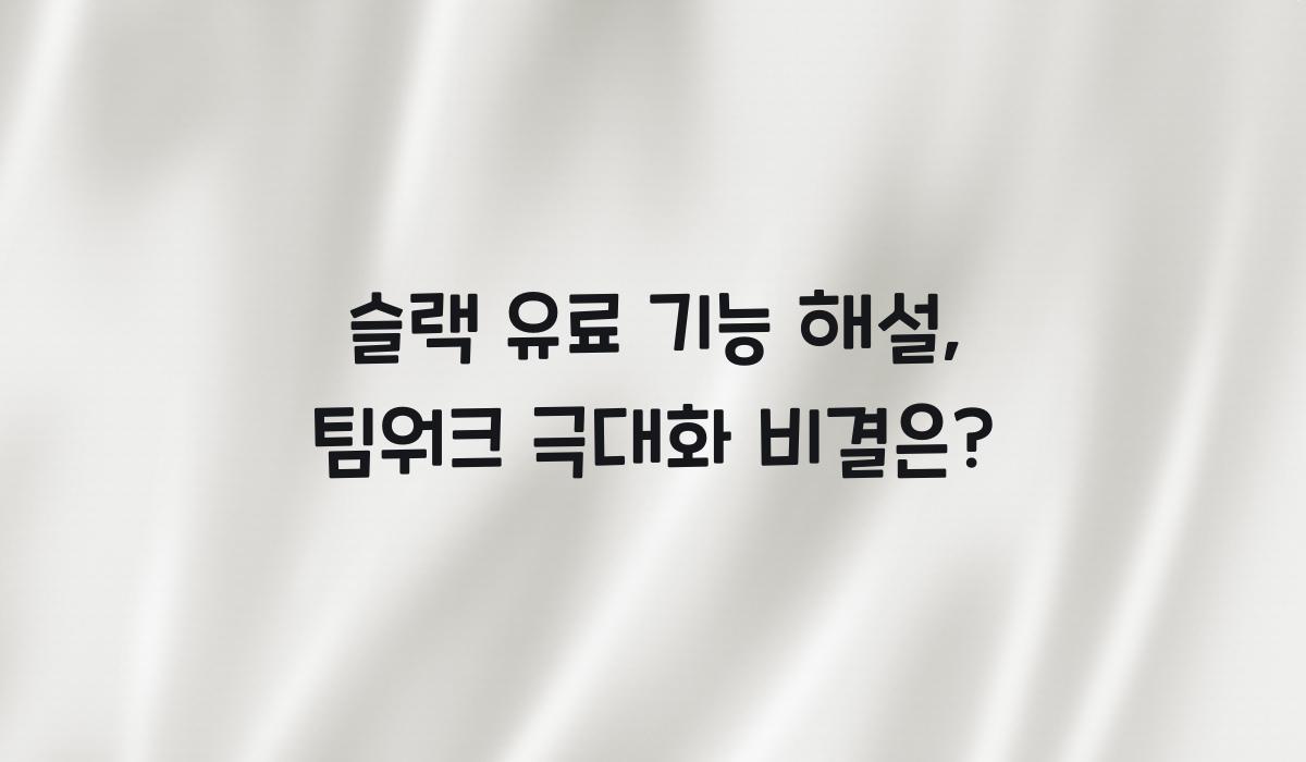 슬랙 유료 기능 해설