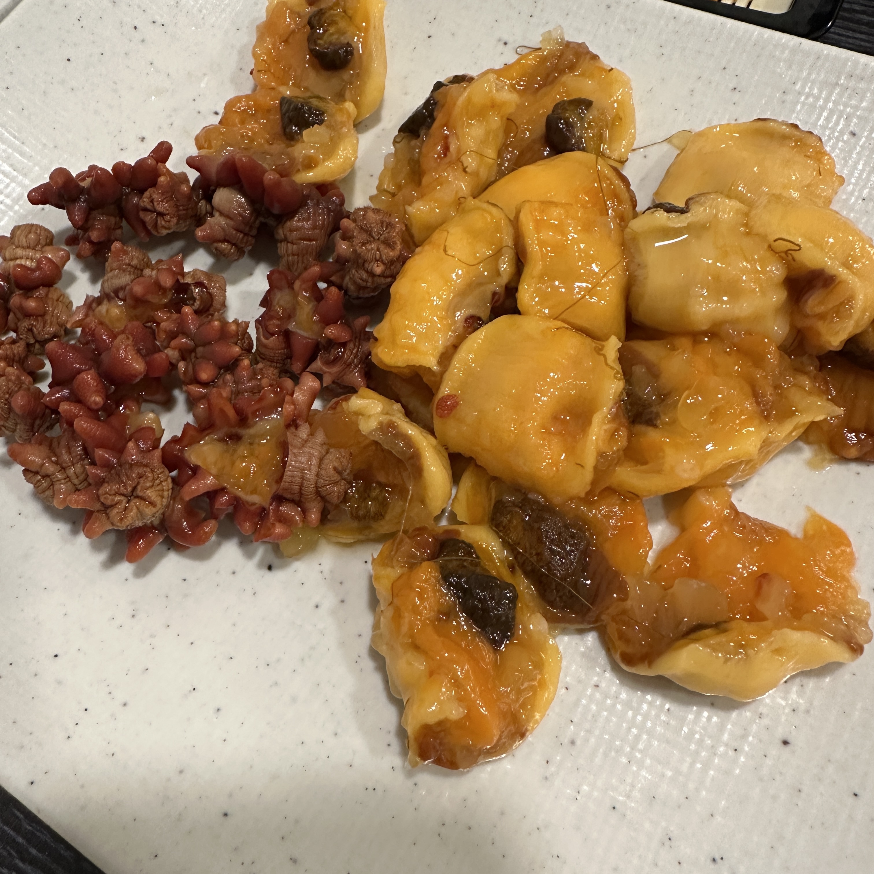 참물회_멍게