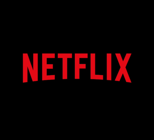 넷플릭스 광고형 후기