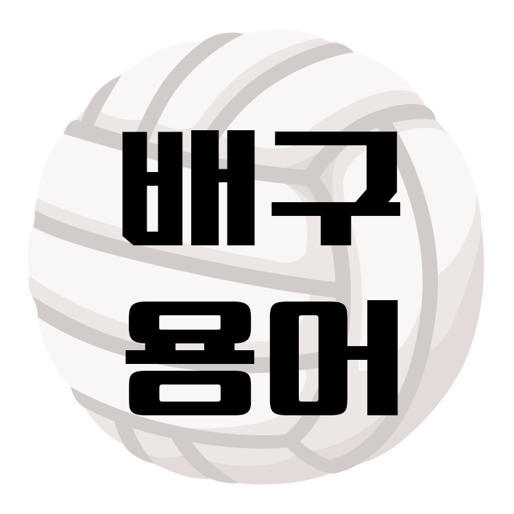 배구용어