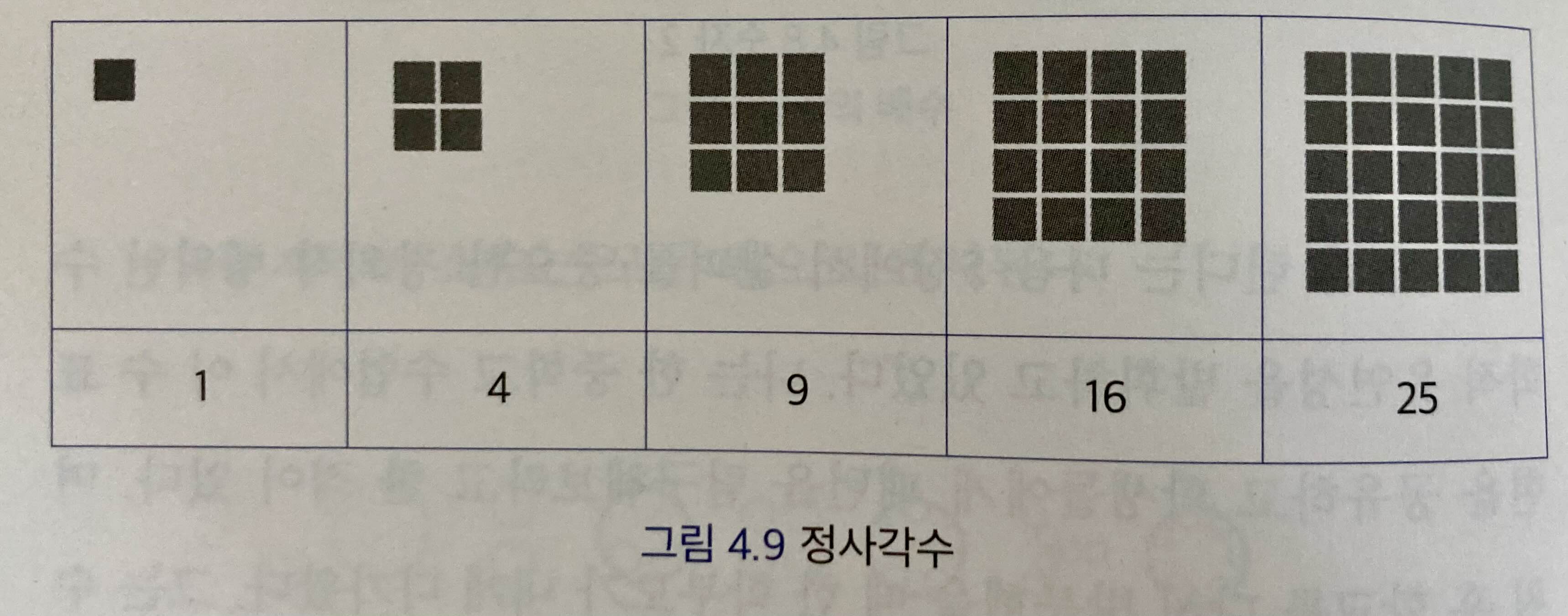 도표4_ 정사각수(제곱수)