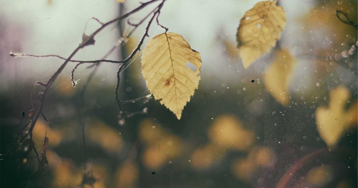 person looking at investment graph on tablet with AI overlay