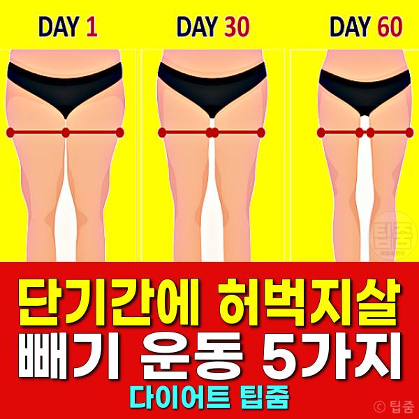 단기간에 허벅지살 빼기 운동 허벅지살 빼는법
