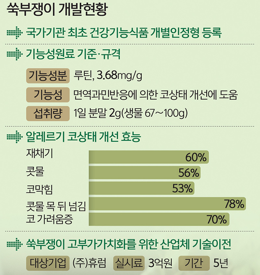 코건강-비염-개선-식약처-인정-건강기능식품-코유산균-추천
