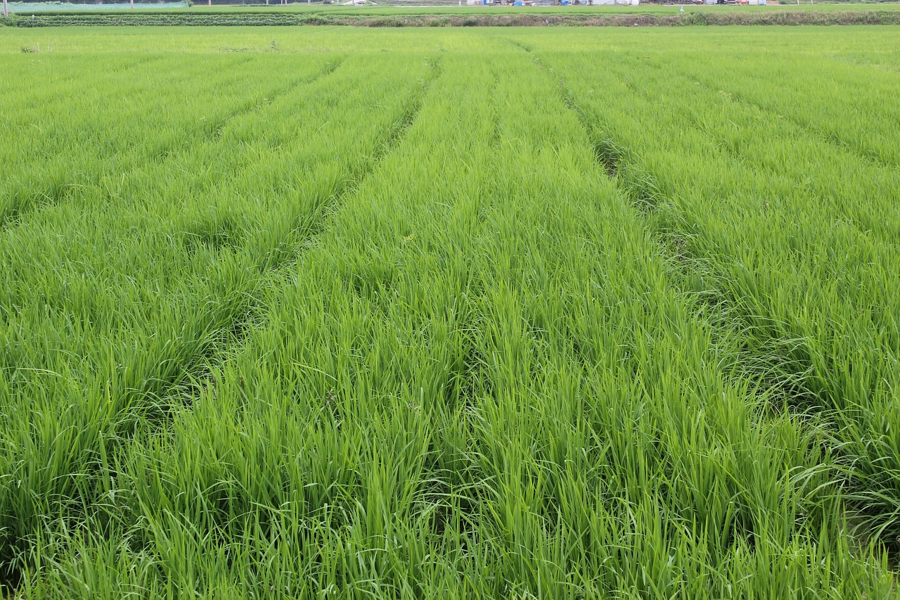 문경 가볼만한곳 추천명소