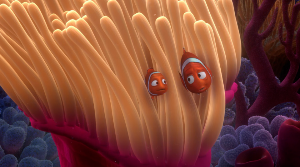 순망치한 - 니모와 아빠 말린이 말미잘 집에서 나오는 모습