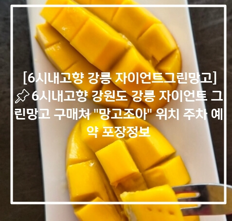 자이언트 그린망고 - 강원 강릉, 망고조아